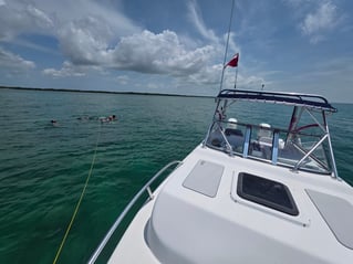 4 Hour AM Inshore Fishing Trip