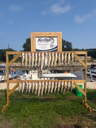 Walleye Capital! Ashtabula Ohio