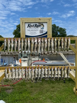 Walleye Capital! Ashtabula Ohio