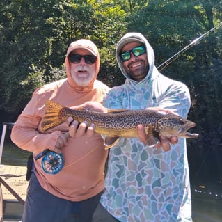 Trout Fly Fishing Trip