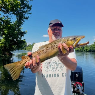 Trout Fly Fishing Trip
