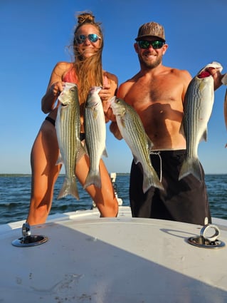 Striper Pursuit | Lake Texoma