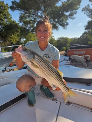 Striper Pursuit | Lake Texoma