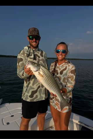 Striper Pursuit | Lake Texoma