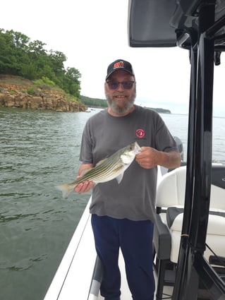 Striper Pursuit | Lake Texoma