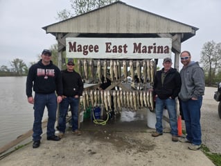 Walleye Capatil Of The World