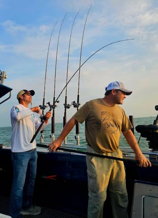 Walleye Capatil Of The World
