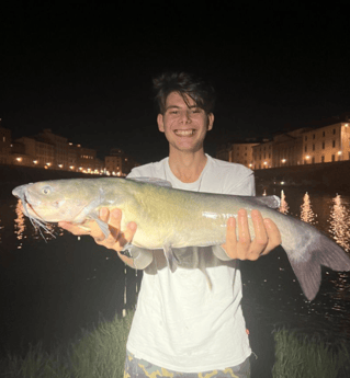 Catfishing In Florence