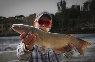 Catfishing In Florence