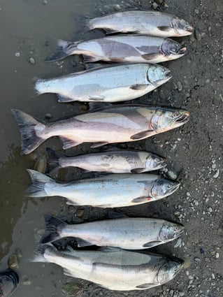 Fish On!!!