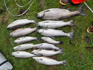 Fish On!!!