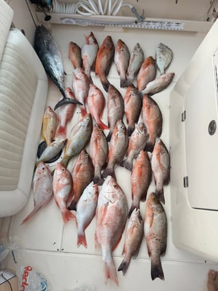 Offshore Fishing