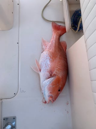 Offshore Fishing