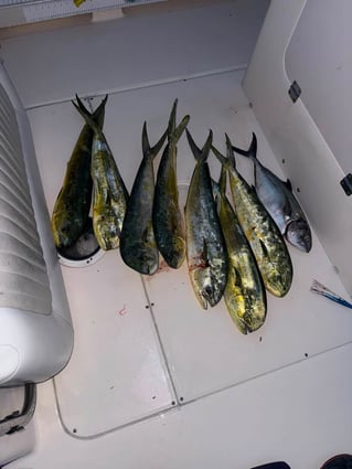 Offshore Fishing