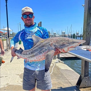 Gulfport Inshore & Nearshore