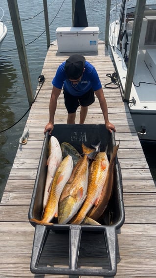 Gulfport Inshore & Nearshore