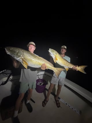 North Carolina Big Bull Reds!!