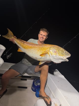 North Carolina Big Bull Reds!!