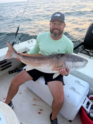 North Carolina Big Bull Reds!!