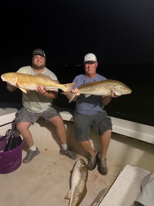 North Carolina Big Bull Reds!!