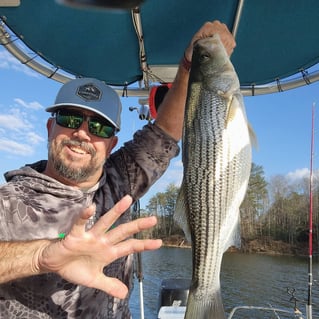 Striped Bass Trip