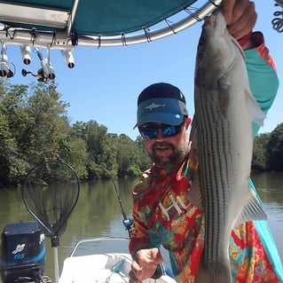 Striped Bass Trip