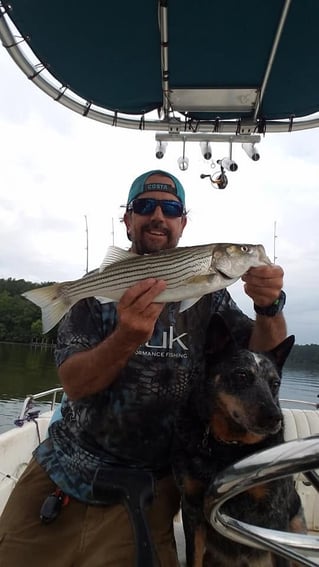 Striped Bass Trip