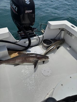 Crystal Coast Inshore & Nearshore
