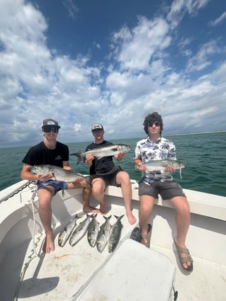 4-6 Hour Trip