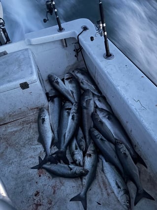 Crystal Coast Inshore & Nearshore