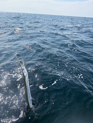 Nearshore Reef & Wreck Fishing