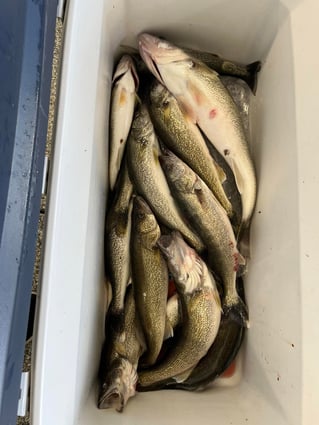 Walleye Trip