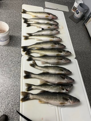 Walleye Trip