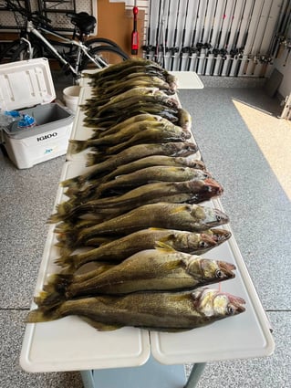 Walleye Trip
