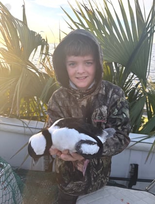 Coastal Duck Hunt