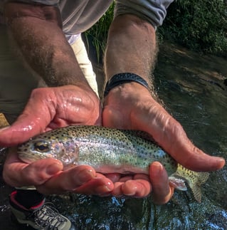 Wade Fishing Trip