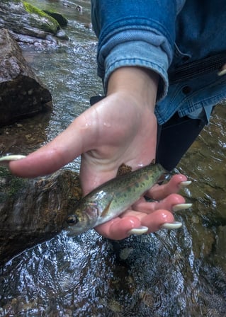 Wade Fishing Trip