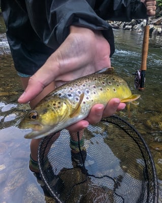Wade Fishing Trip