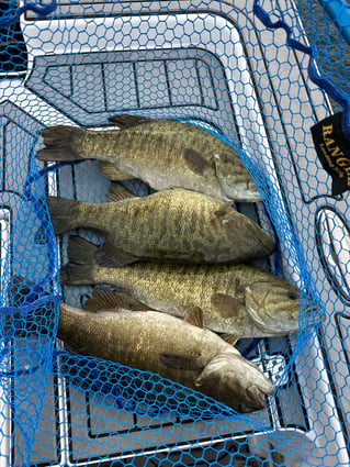 Charlevoix Smallmouth Bass Trip