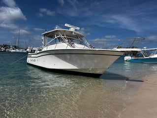 Sandbar Trip