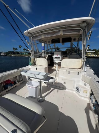 Sandbar Trip