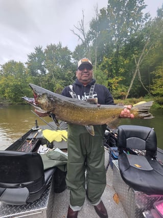 River Salmon Trips