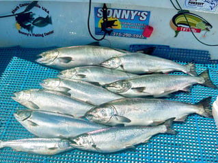 Trout & Salmon Trolling