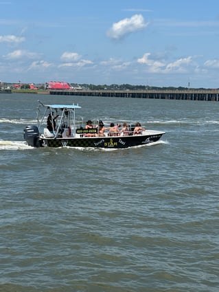 Assateague Island Wild Pony Tour