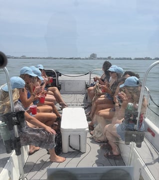 Assateague Island Wild Pony Tour
