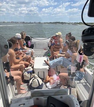 Assateague Island Wild Pony Tour
