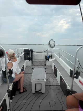 Assateague Island Wild Pony Tour