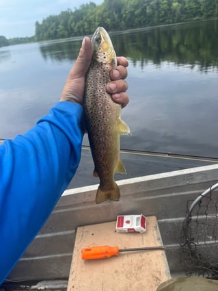 Lake & Pond Trolling