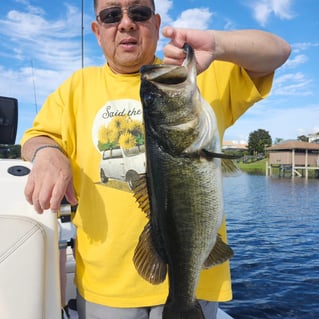 Florida Bass Fishing 