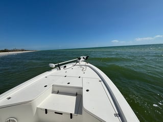 Inshore Fishing 